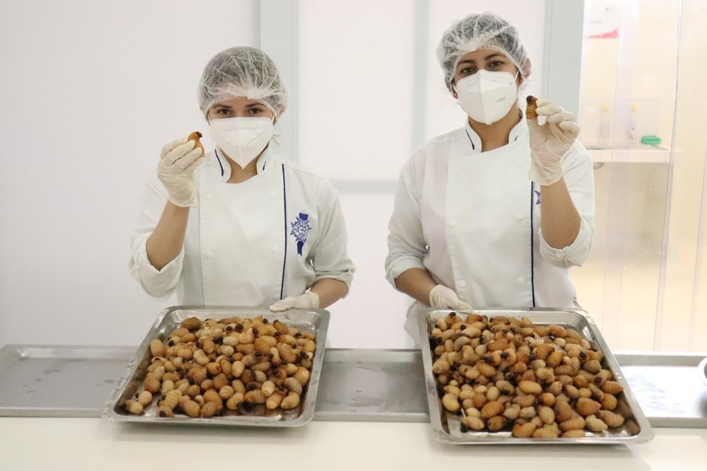 Estudiantes ULCB desarrollan tesis sobre la Harina de Suri